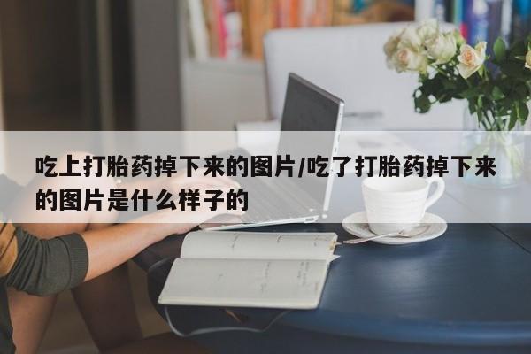 米非司酮片哪里有买吃上打胎药掉下来的图片/吃了打胎药掉下来的图片是什么样子的